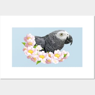 Gray parrot Posters and Art